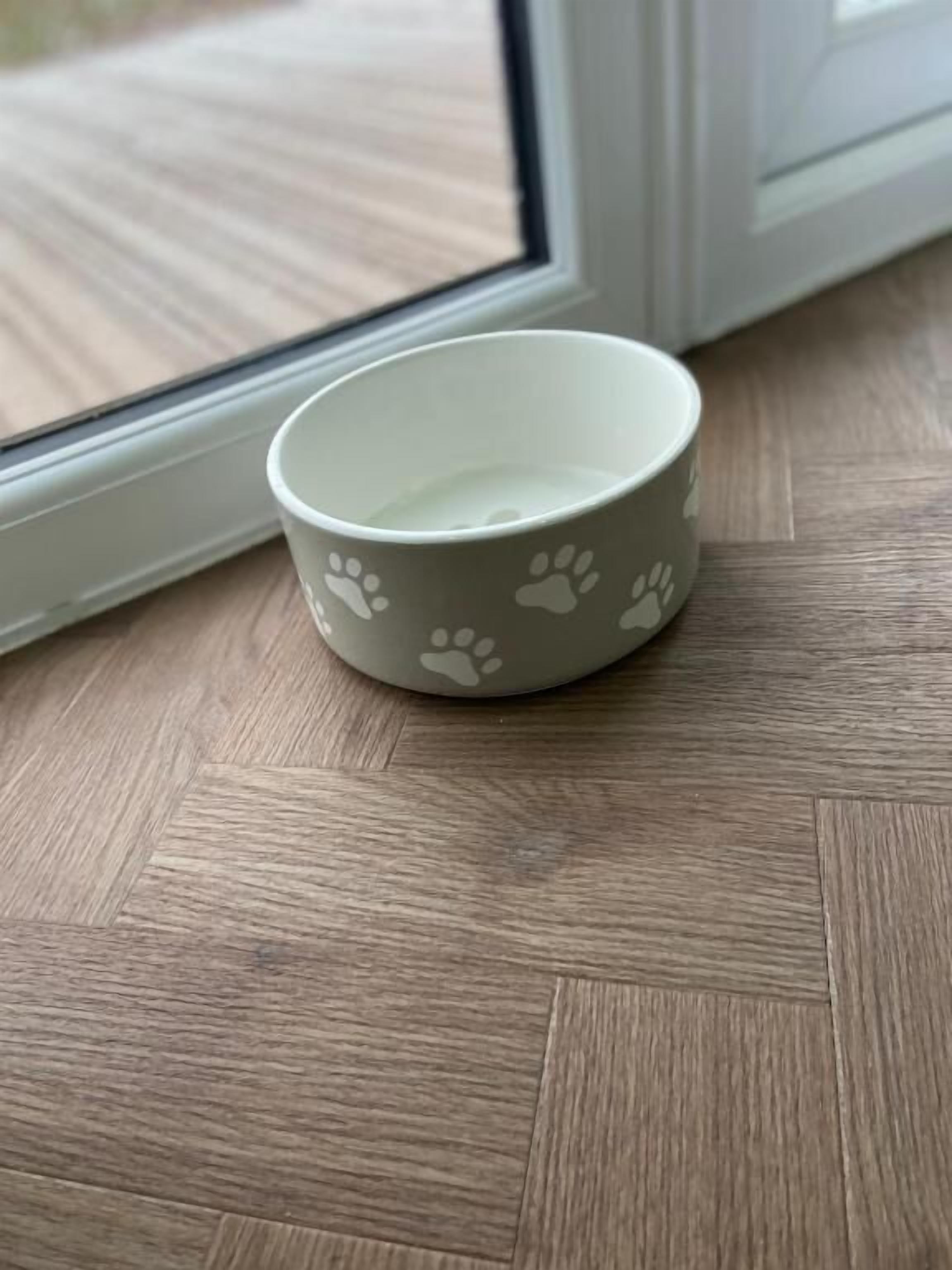 A small bowl with paw prints on a wooden floor near a window.