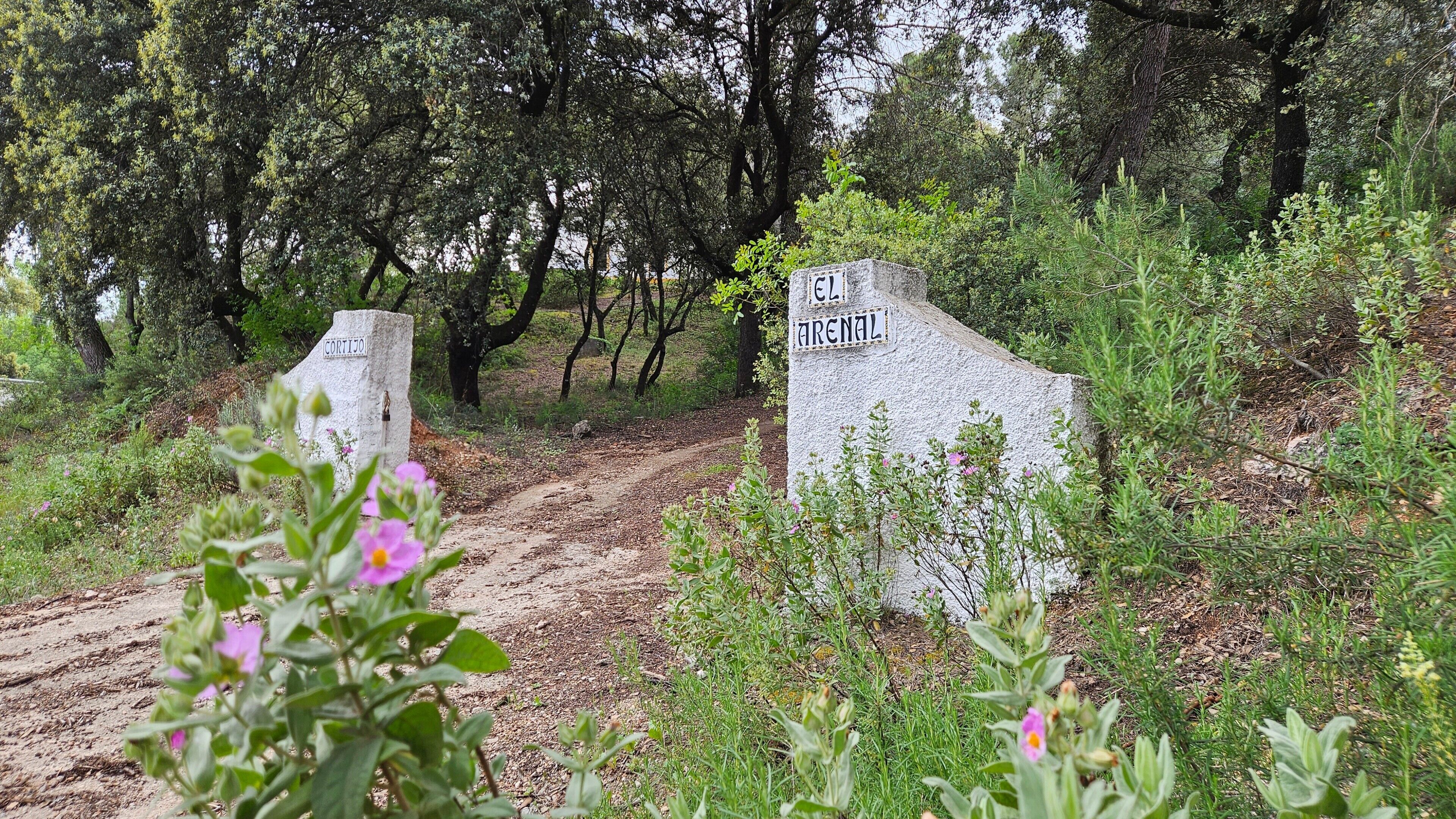 Jardines del alojamiento