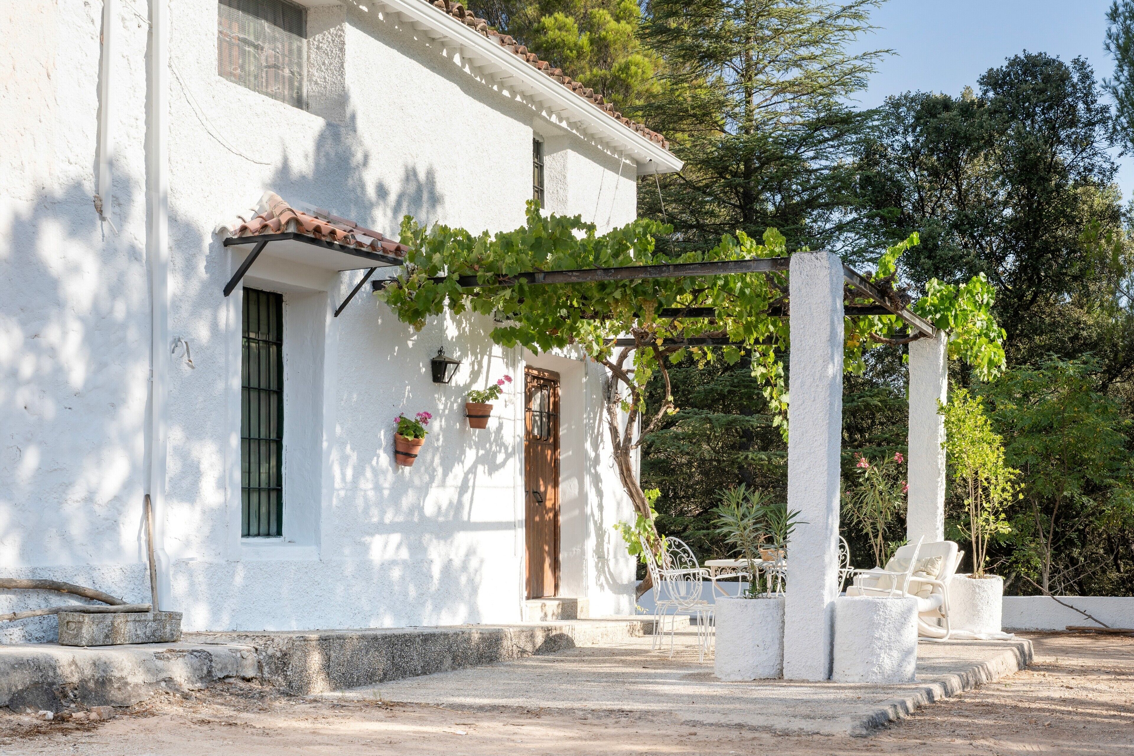 Un edificio blanco con techo de tejas, una puerta de madera y una pérgola cubierta de enredaderas. Hay plantas en macetas en la pared y mobiliario exterior.