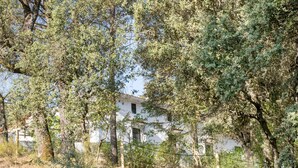 A white building partially obscured by dense foliage.