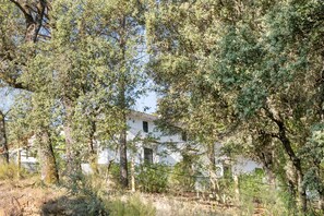 A white building partially obscured by dense foliage.