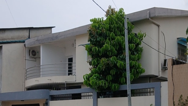 A residential building with a gated entrance, a small balcony, and a tree in front. - Sheyllo Suites Abidjan (Abidjan)