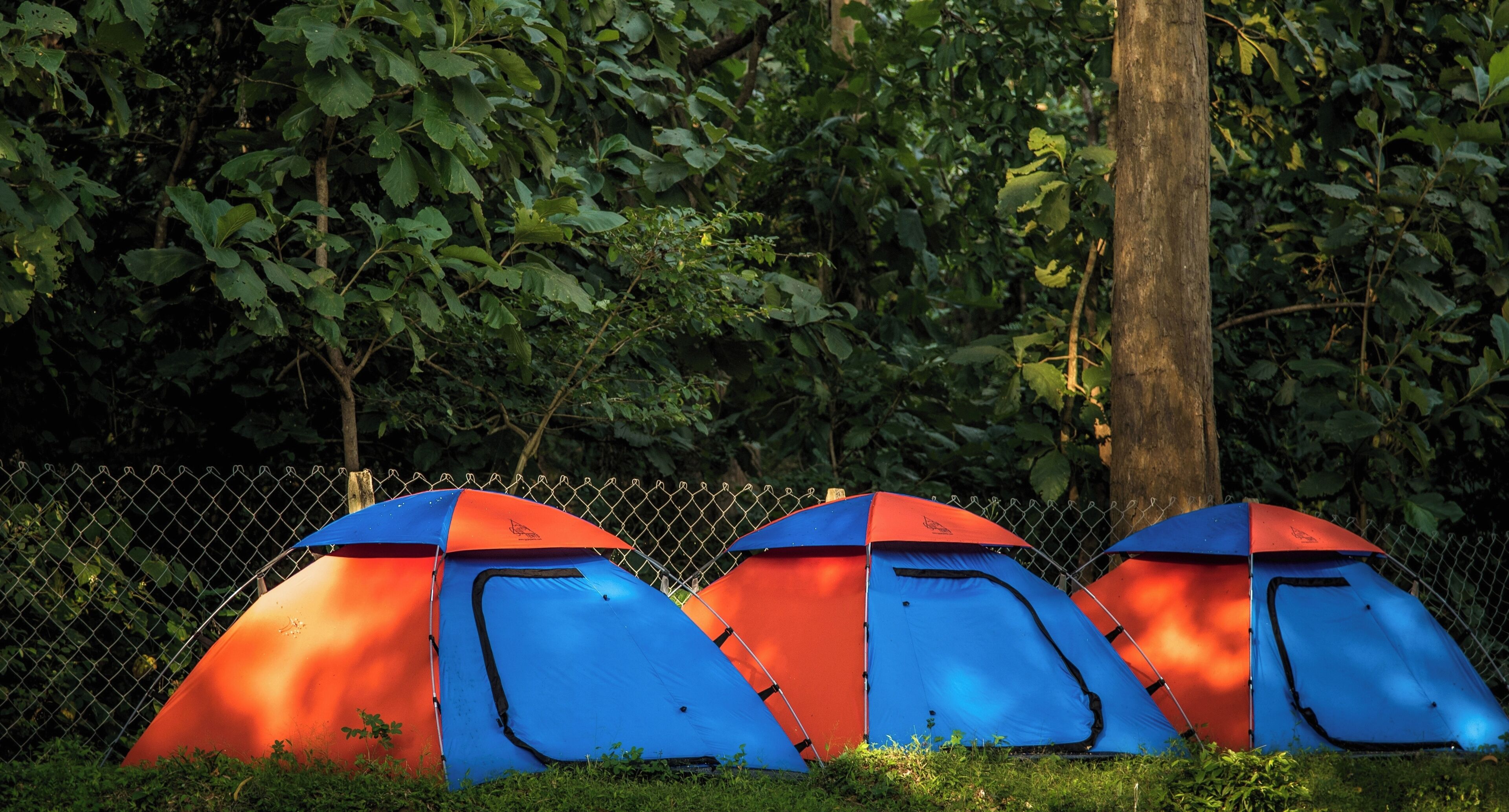 Tent | Free WiFi