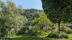 Un rigoglioso giardino con diversi alberi e arbusti, una recinzione in legno e una collina sullo sfondo.