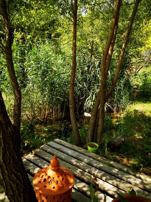 A wooden bench in a forested area with a green bucket and a terracotta pot nearby.