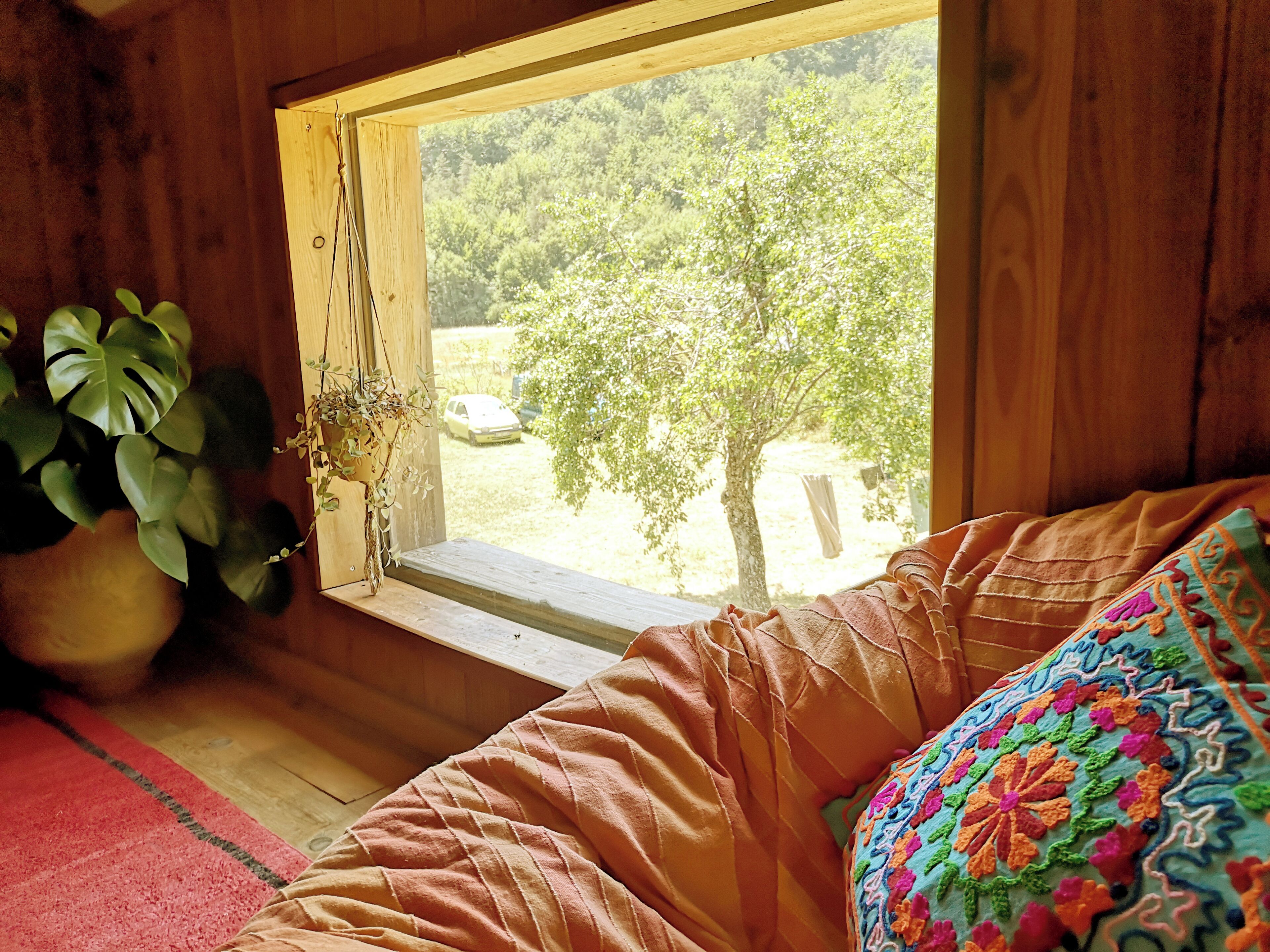 A room with a wooden interior, a window with a view of a tree and a car, a bed with a patterned pillow, and a potted plant.