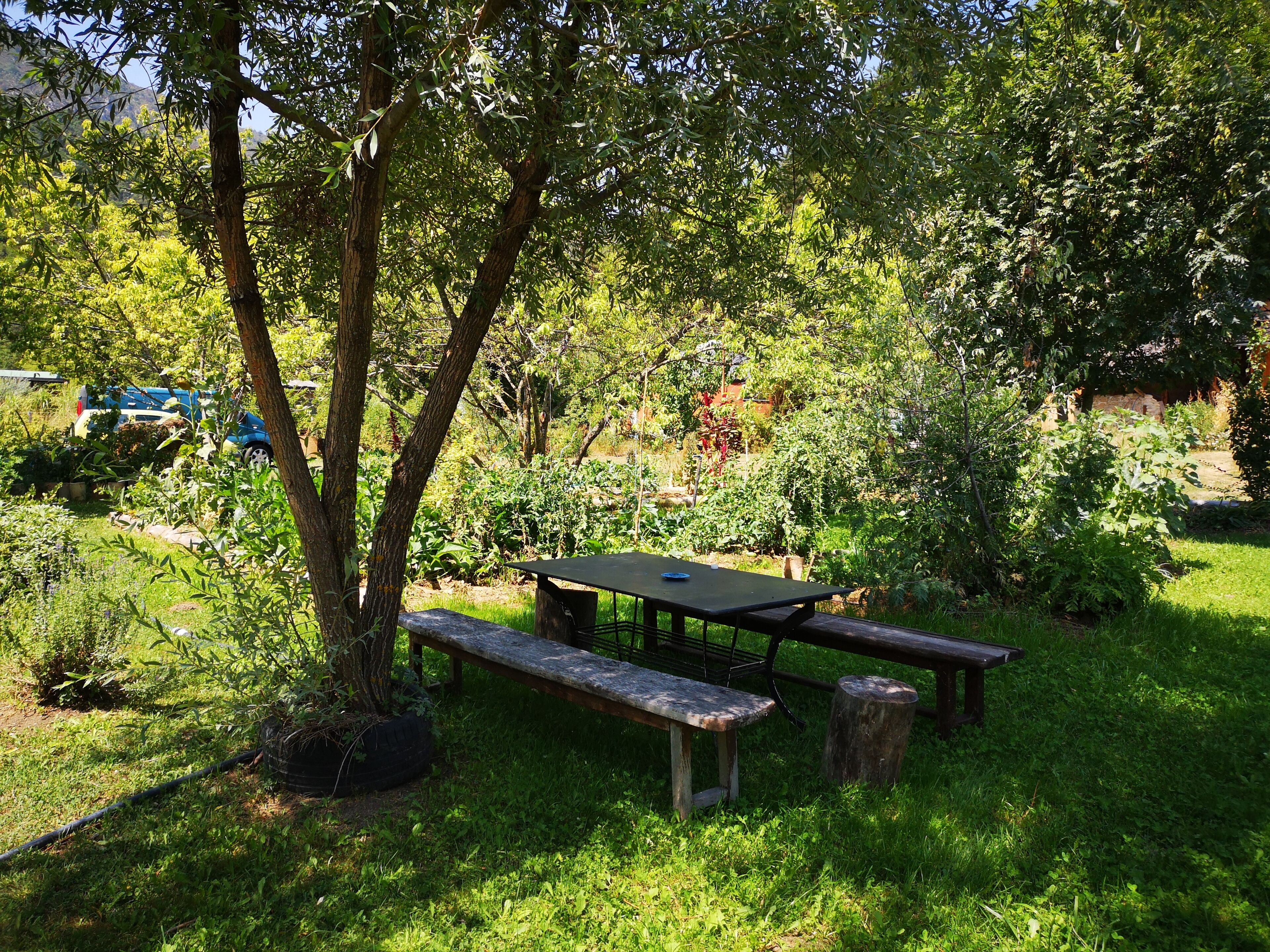 An outdoor garden area with a picnic table and benches, surrounded by lush greenery and trees.