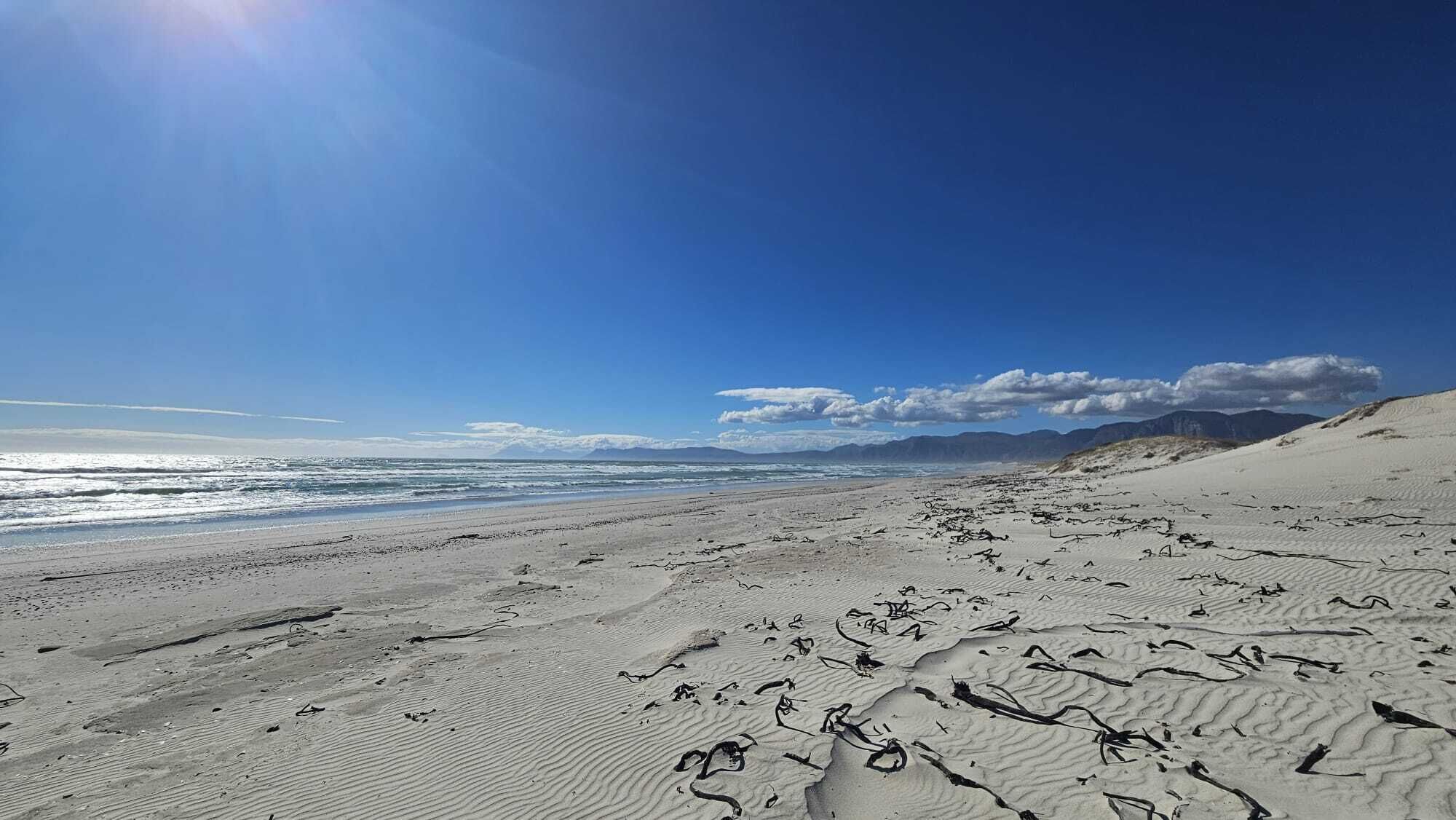 A beach with sand dunes and a clear sky.