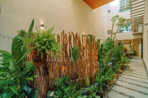 Vườn