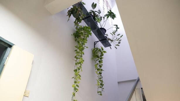 Een trap met metalen leuning en hangende planten.