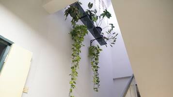Una escalera con barandilla y una planta en la pared.