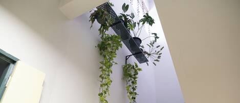 建物のデザイン