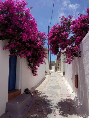 Una calle estrecha con paredes blancas y puertas azules, bordeada por enredaderas de buganvilla.