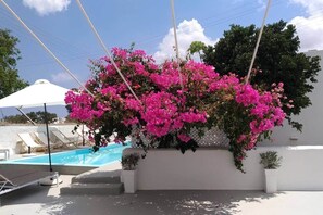 A pool area with a white wall, a hanging flower arrangement, and a white umbrella. - Villa LuxL Winery Villa (Mesaria)