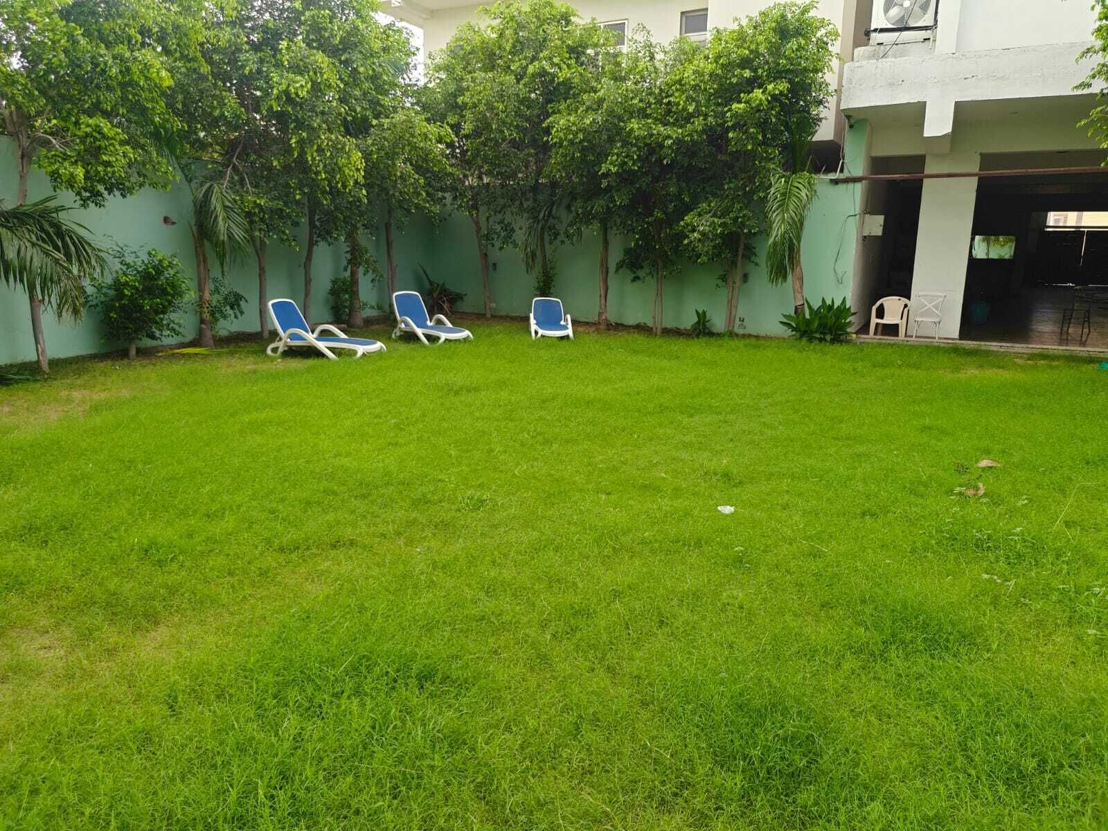 A grassy outdoor area with three lounge chairs and a white wall with trees.