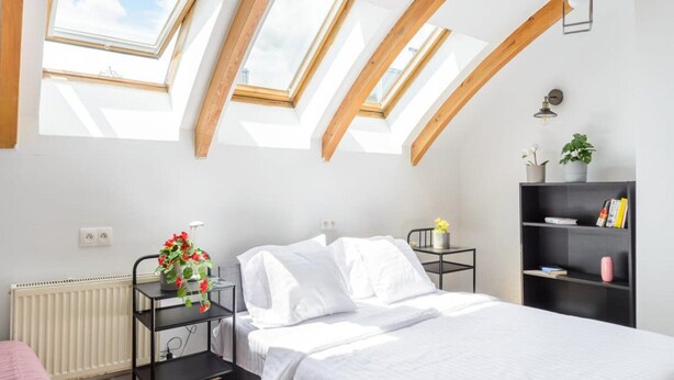 Ein Schlafzimmer mit Dachfenster, einem Bett, einem Nachttisch mit Pflanze, einer Heizung und einem Bücherregal.
