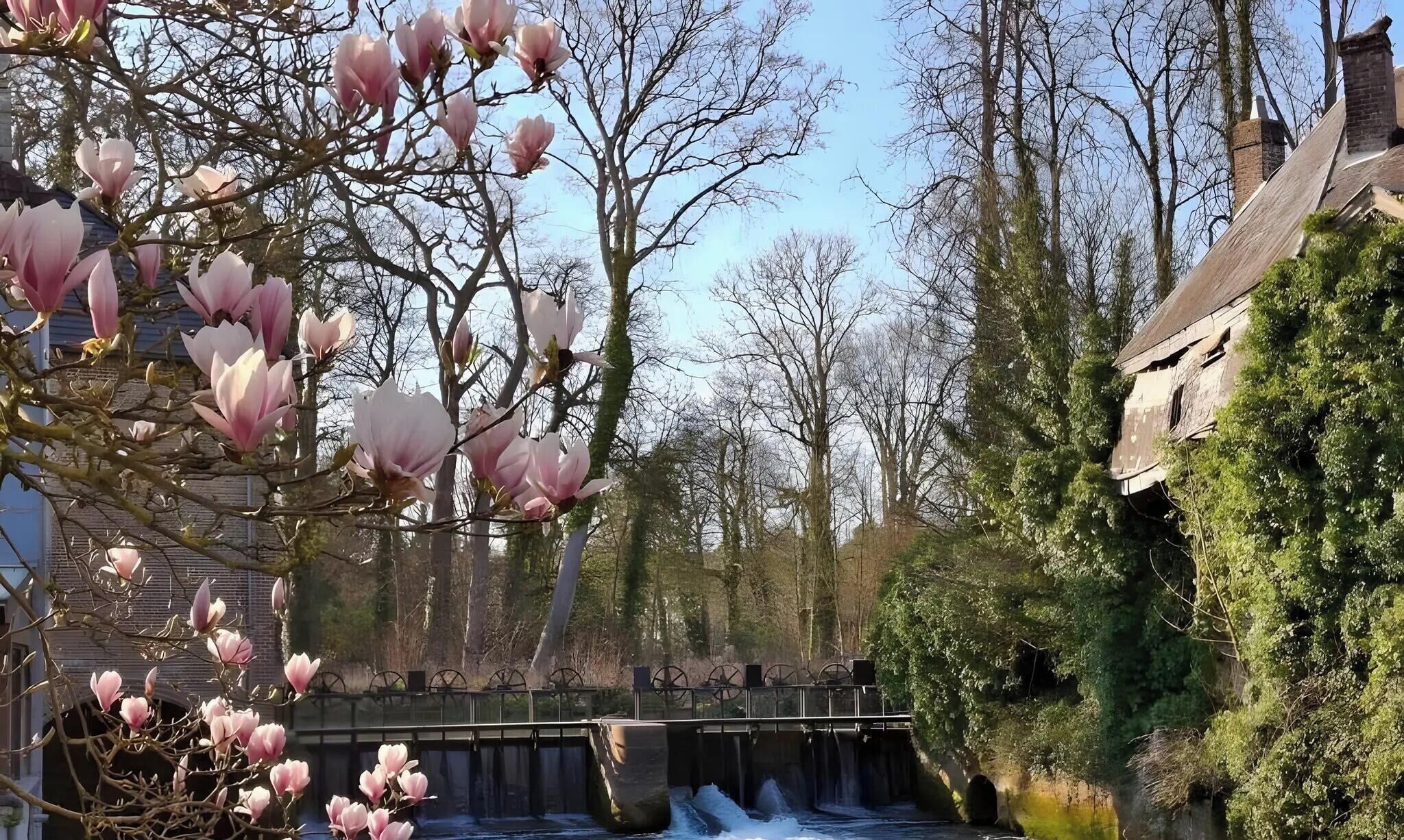 Een brug over een waterweg, met een gebouw aan de rechterkant en bomen op de achtergrond.