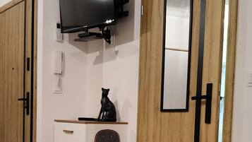 Superior Studio Suite, City View | Interior