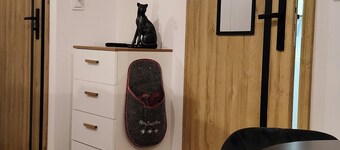 Apartamenty Drzewna-Wojska Polskiego