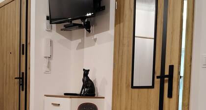 Apartamenty Drzewna-Wojska Polskiego
