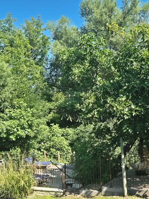 A fenced outdoor area with trees and a wooden structure.