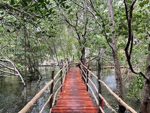 Miscellaneous - Kerusso Haven (Puerto Princesa)