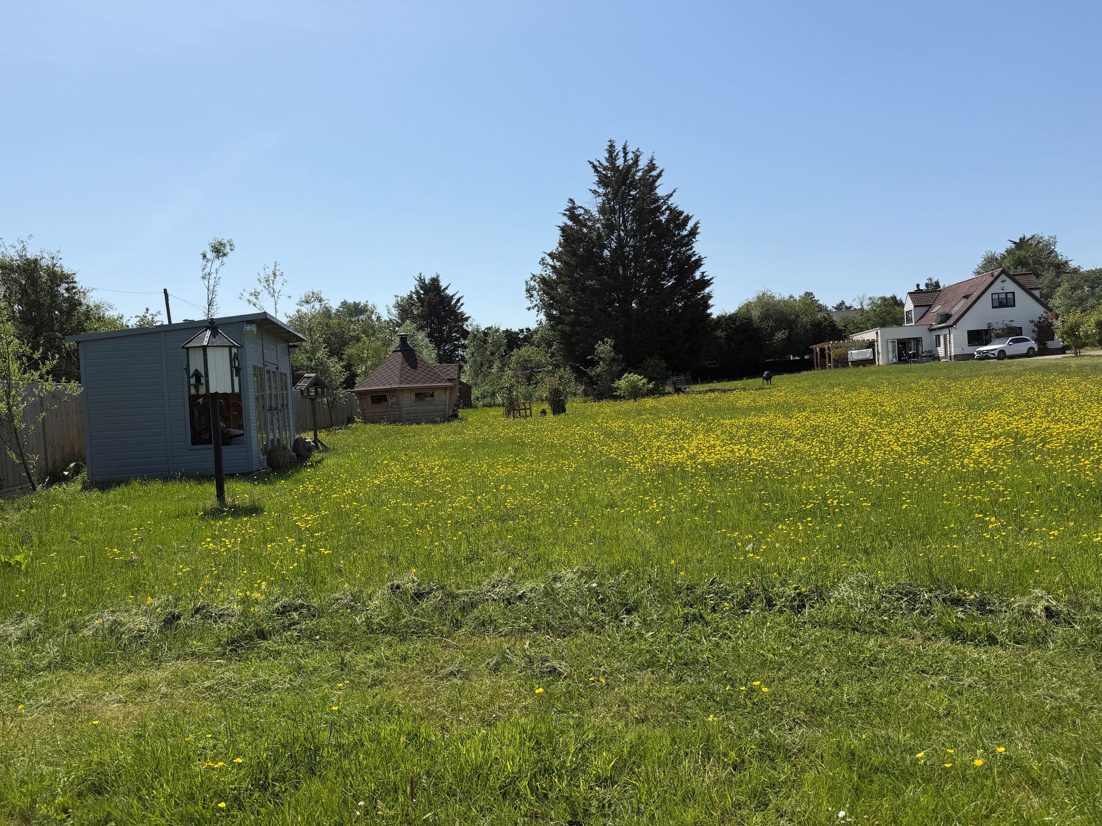 A residential area with a small shed, a house, and a field of yellow flowers.