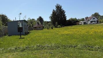 A residential area with a small shed, a house, and a field of yellow flowers.