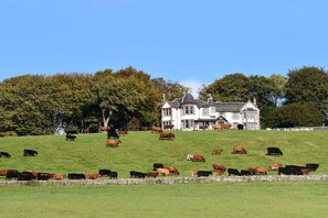 A large house with multiple windows and a lawn with cows. - Kinclune House & Annex Luxury Mansion, Angus Glens (Kirkton of Kingoldrum)