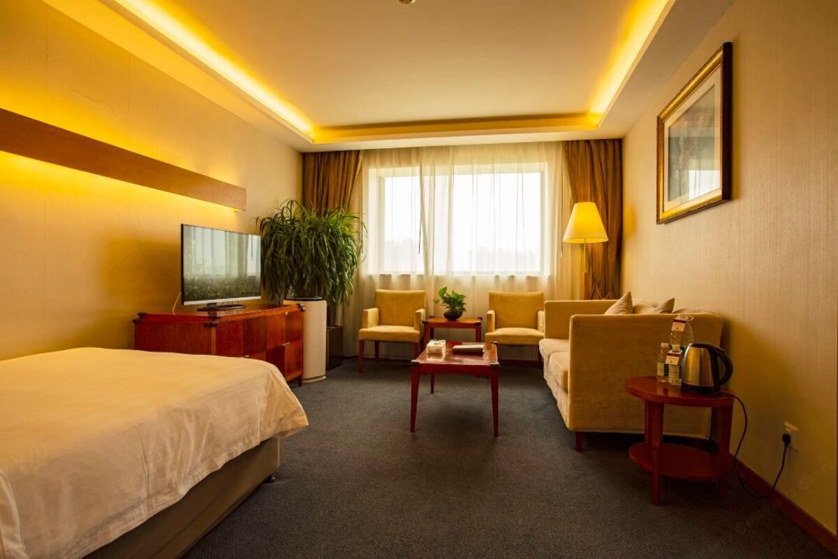 A hotel room with a bed, a desk, a chair, a sofa, a TV, a plant, and a window with curtains.