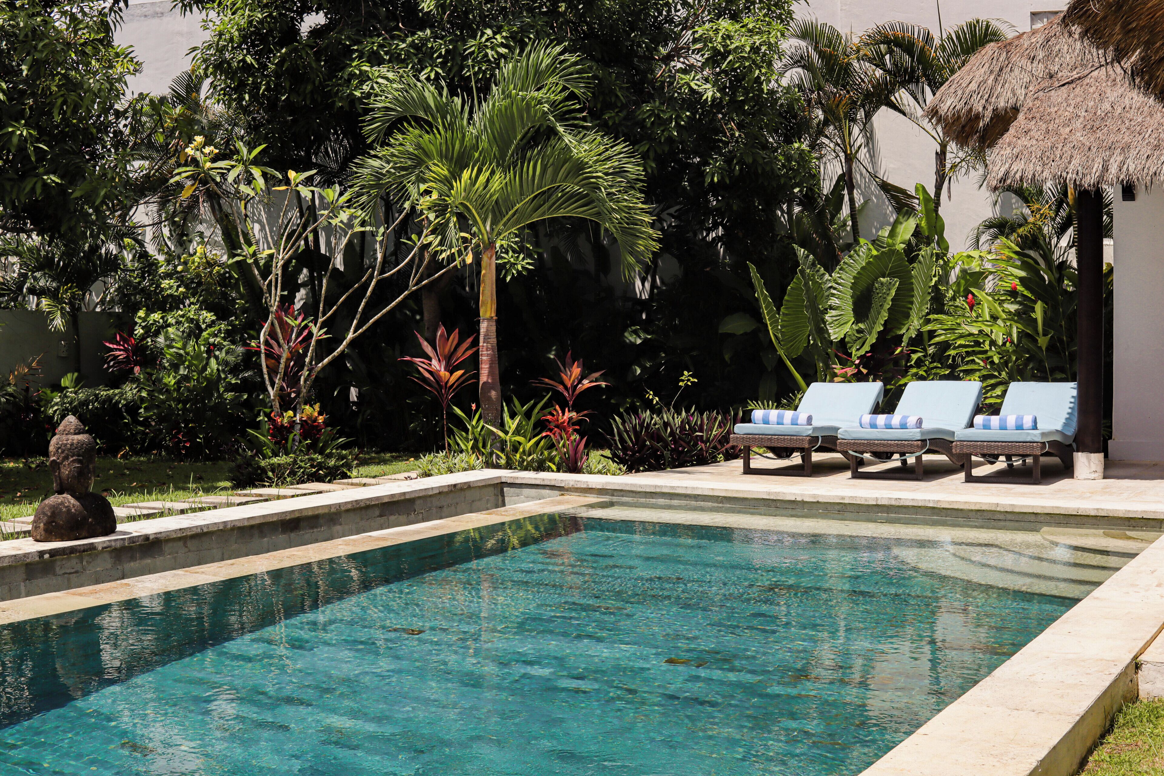 Ein Swimmingpool mit Liegestühlen und tropischer Bepflanzung.