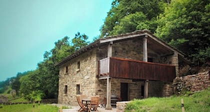 Country house surrounded by nature