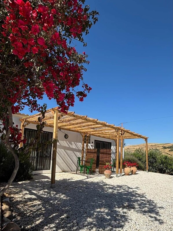 A covered outdoor seating area with a pergola, a white building, and a gravel ground.