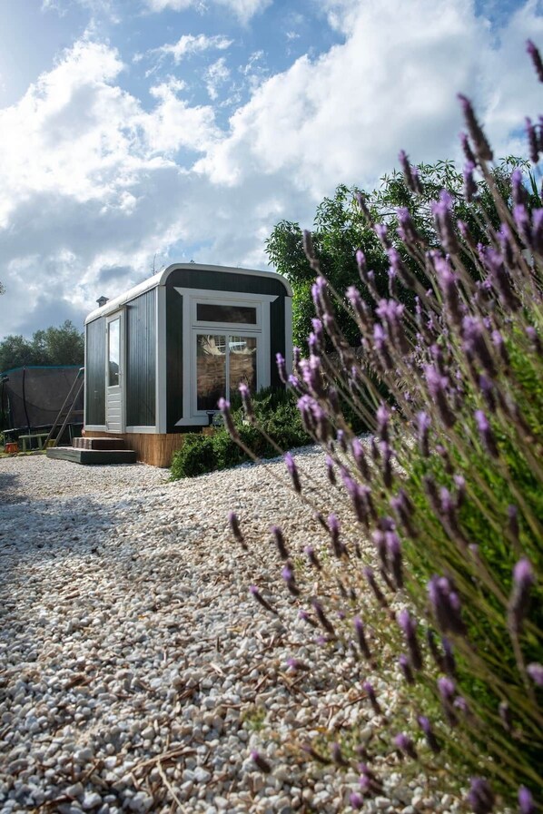 A modern, single-story building with a flat roof, a small porch, and a gravel driveway.