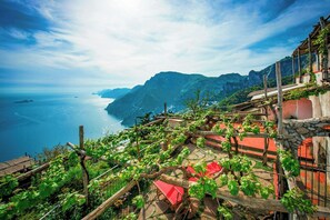Paisaje costero con viñedo, muro de piedra y vistas al mar y las montañas.