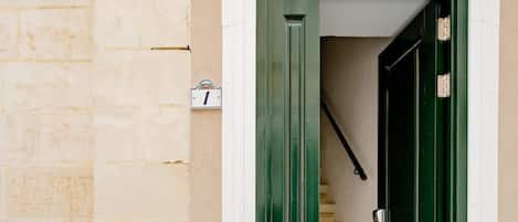 A building entrance with a green door, a white door, and a small step leading to a tiled floor.