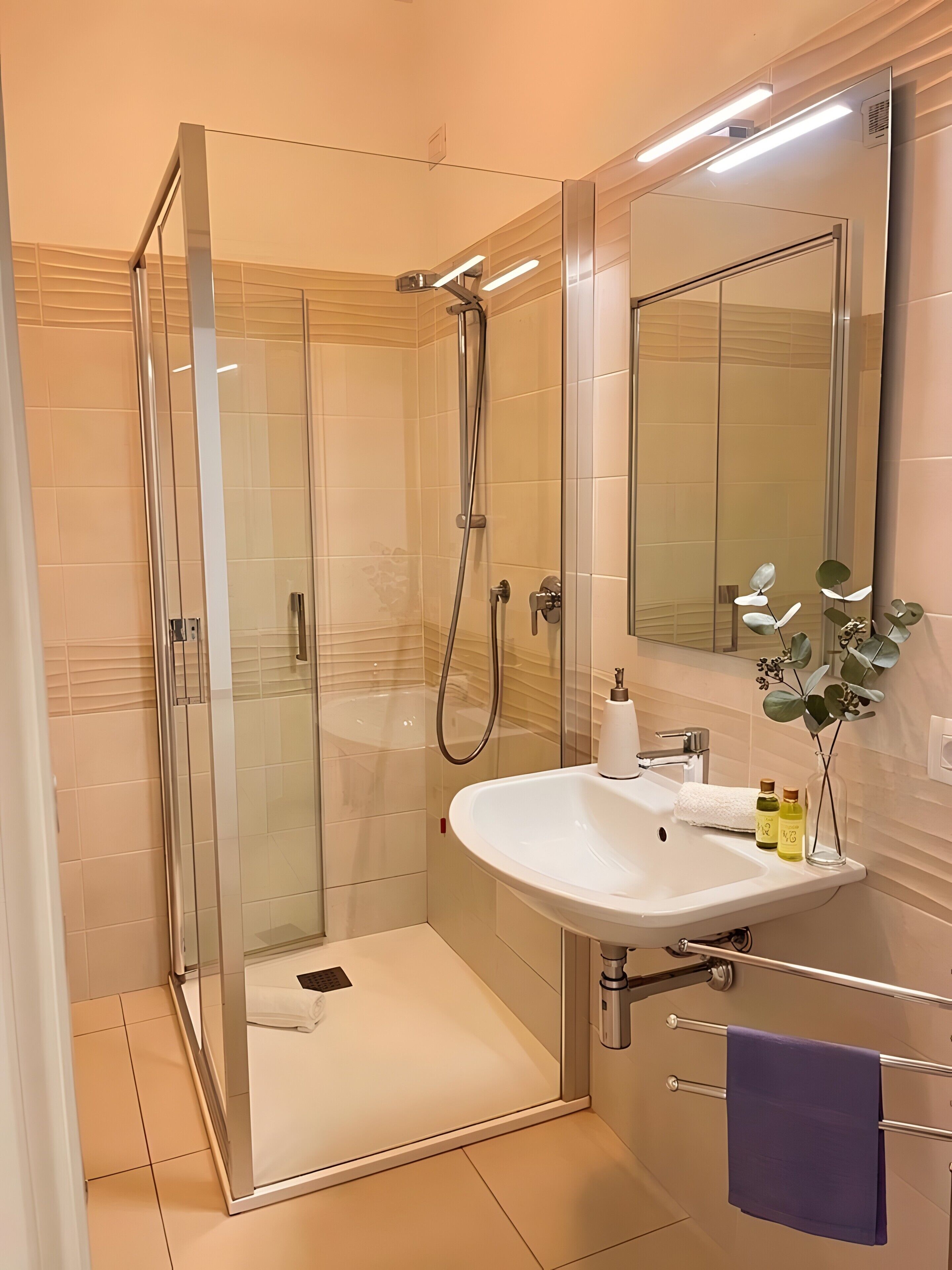 Shower, hair dryer, towels