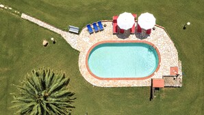 An aerial view of a swimming pool with a stone deck, surrounded by grass, and a palm tree. - Tenuta Gaetano Spadaro, Maurino Apartment (Capannori)