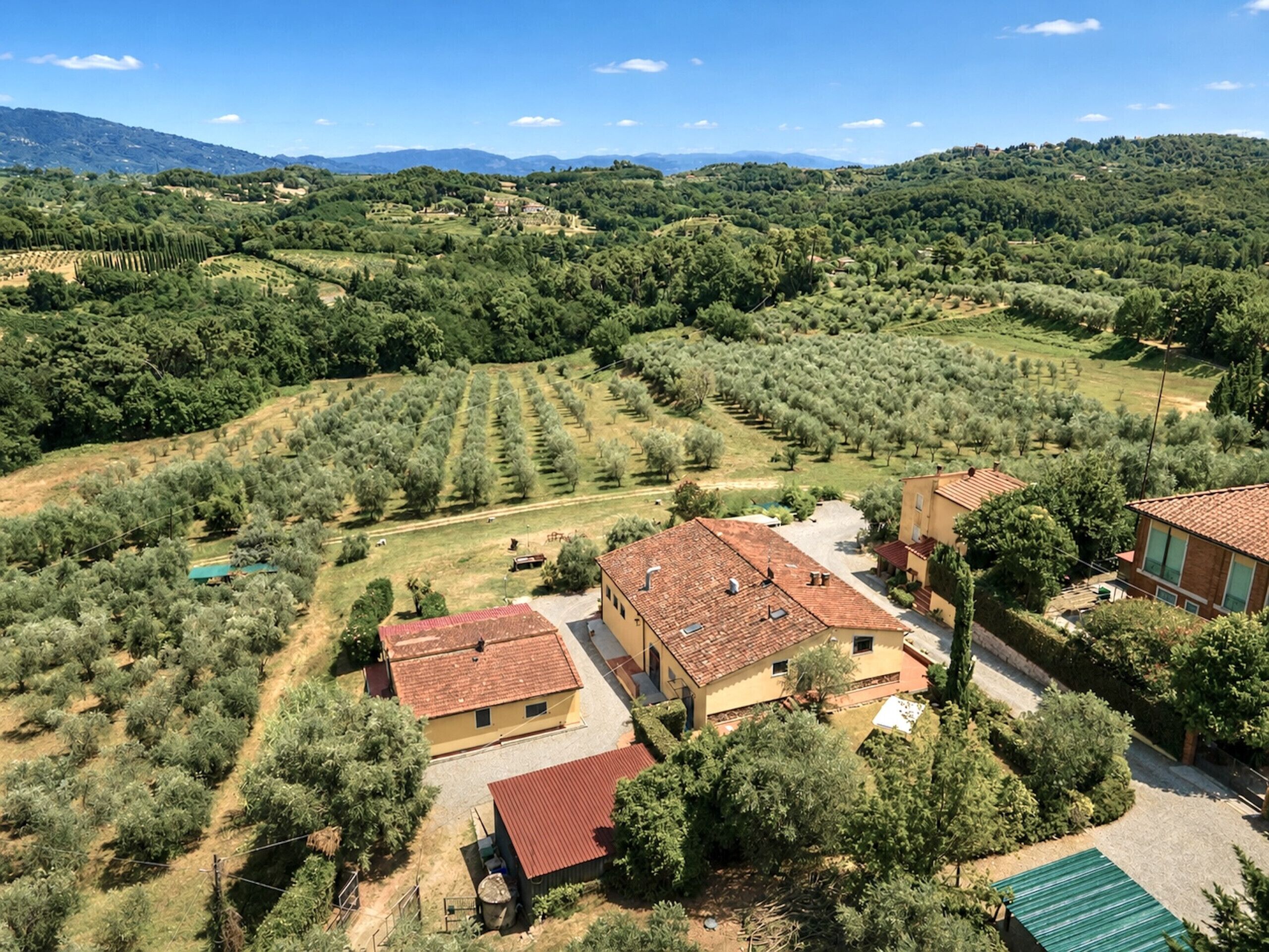 Una propiedad rural con olivares, una casa de campo y una casa de huéspedes.