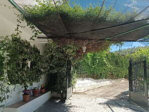 Une ruelle étroite, avec une partie abritée d’un côté, des plantes en pot et un portail en métal.