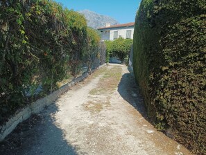 A narrow gravel path flanked by dense shrubbery and a building with a tiled roof. - Bedmar Farmhouse (Bedmar)