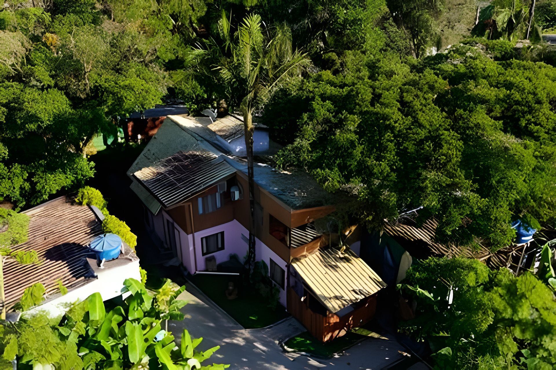 A two-story house with a sloped roof, surrounded by dense greenery.