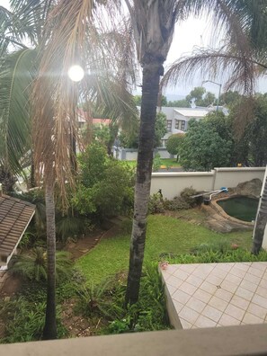 A residential garden with a swimming pool, palm trees, and a house in the background.