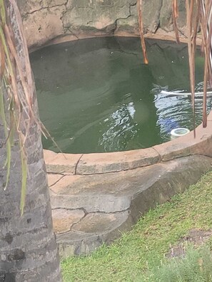 Ein Teich, umgeben von Stein, Wasser, Gras und einem Baum.