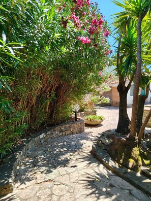 Ein gepflasterter Weg führt durch einen Garten mit verschiedenen Pflanzen und einer Palme.