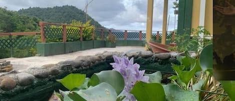A pond with water lilies, a wooden fence, and a building with a green roof.