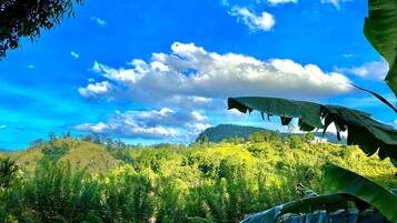 Un paisaje verde y exuberante con cielo despejado y una colina al fondo.