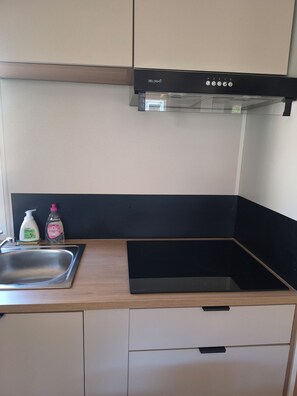 A compact kitchen with a black induction cooktop, a stainless steel sink, and a small countertop.