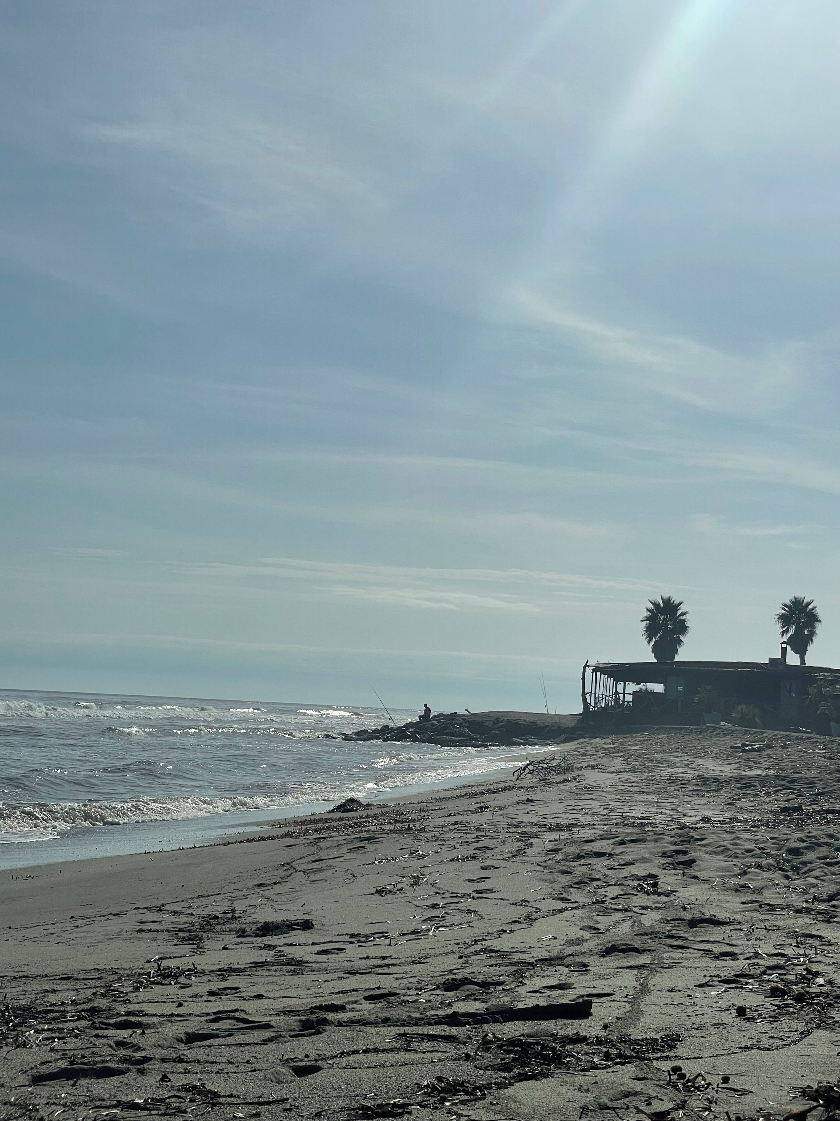Une plage avec un bâtiment, des palmiers et l’océan.