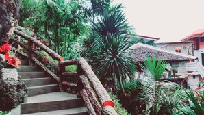 Căn hộ, 2 phòng ngủ, hút thuốc, sân hiên | Vườn